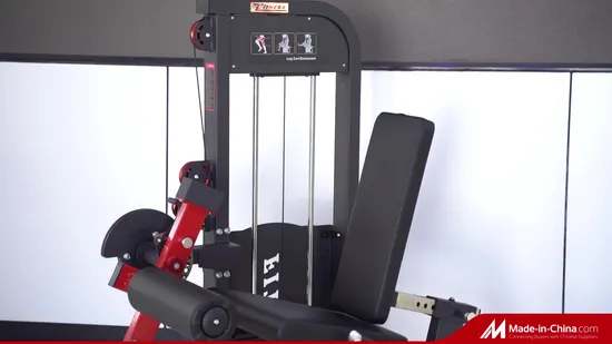 Fitness Exercise Trainer Machine Dual Functional Commercial Strength Training Bodybuilding Workout Pin Load Selection Seated Leg Curl & Extension Gym Equipment