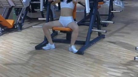 Professional Exercise Commercial Fitness Machine Bodybuilding ISO