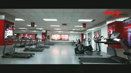 Upper Limbs Machine Assit DIP Chin Commercial Multi Function Arm Stretch & Pull