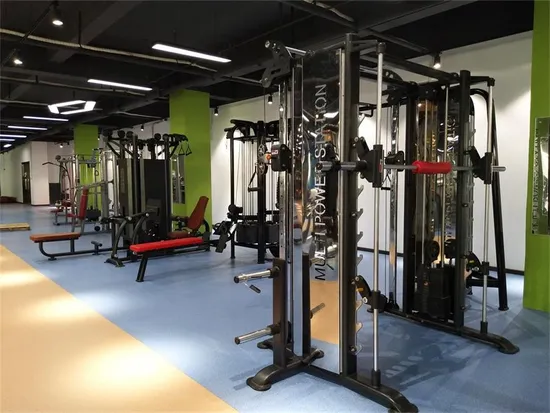 Workout Commercial Sports Exercise Strength Fitness Equipment Gym Equipment for Gym Training 